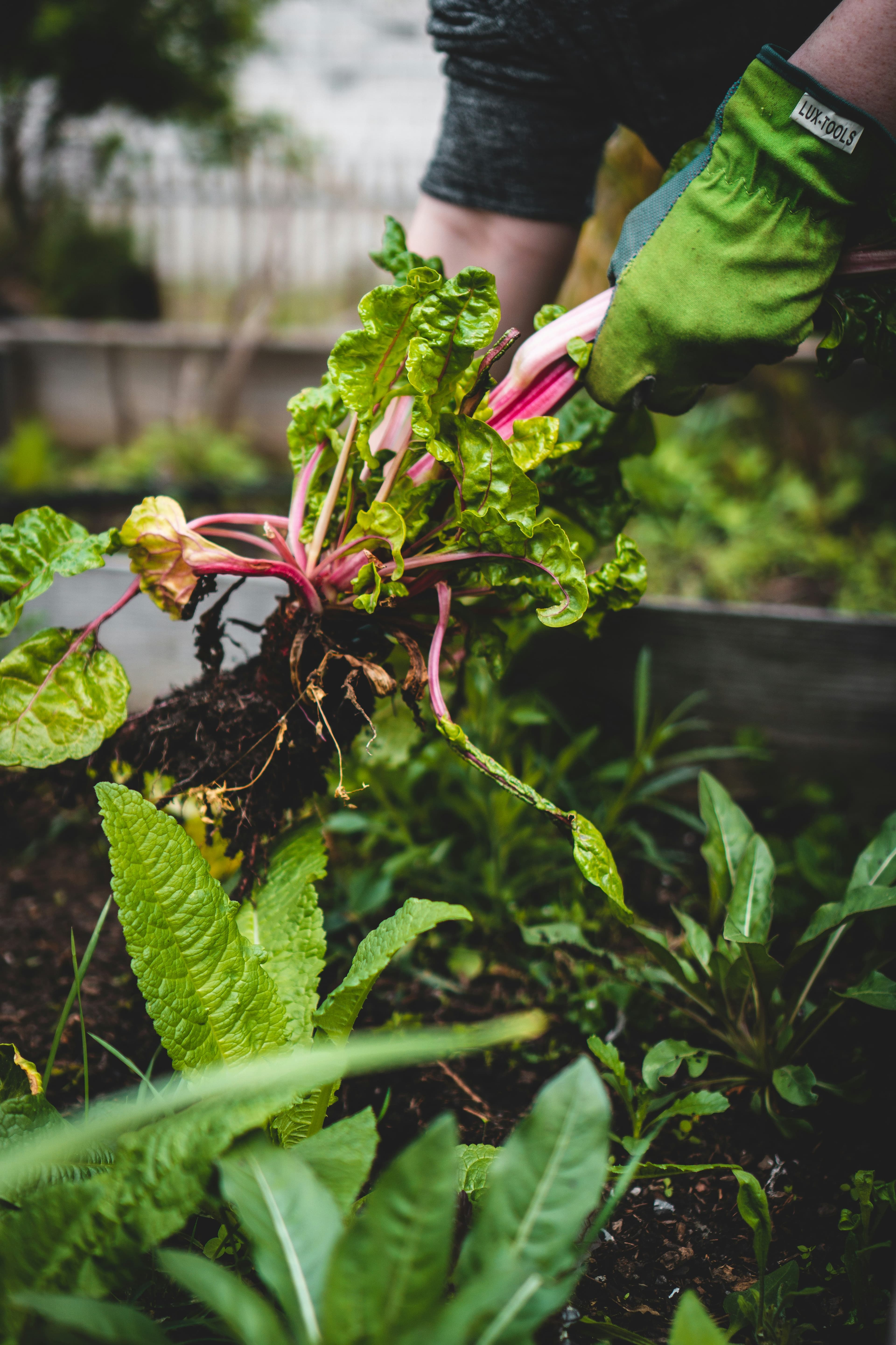 Organic farming workshop